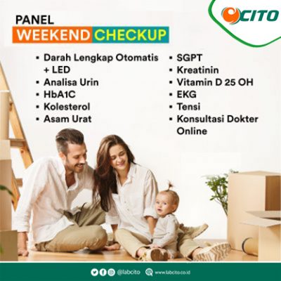 Panel-Weekend-Check-Up CITO