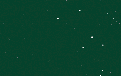 Sambutan Direktur Operasional dan Marketing menapaki Tahun 2016