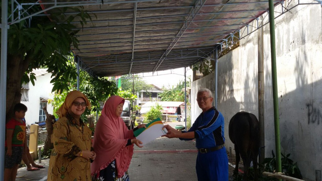 sapi-kurban