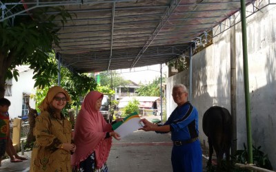 Penyerahan 1 ekor sapi kurban di Masjid Al Anam Semarang