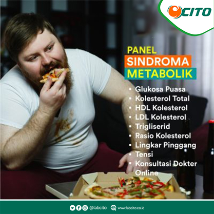 Panel-Sindroma-Metabolik CITO