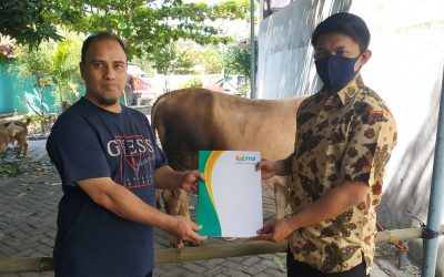 Program CSR Hewan Kurban Idul Adha 1440 H Oleh Laboratorium Klinik CITO