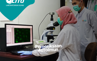 Edukasi Penyakit Autoimun, CITO dan IDI Semarang Gelar Webinar