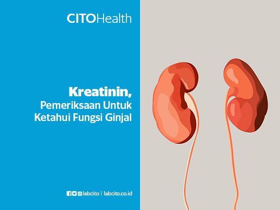 Kreatinin, Pemeriksaan Untuk Ketahui Fungsi Ginjal