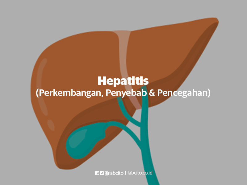 Hepatitis (Perkembangan, Penyebab, Pencegahan)
