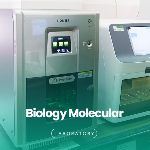 Biomolecular Laboratory
