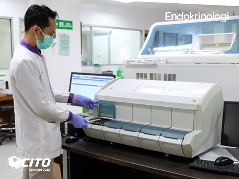 Alat Endokrinologi