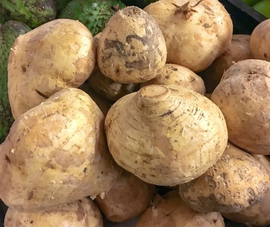 Buah bengkuang Buah bengkuang