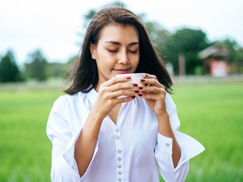 kafein alami selain kopi sumber kafein alami selain kopi seperti matcha, guarana, dan yerba mate