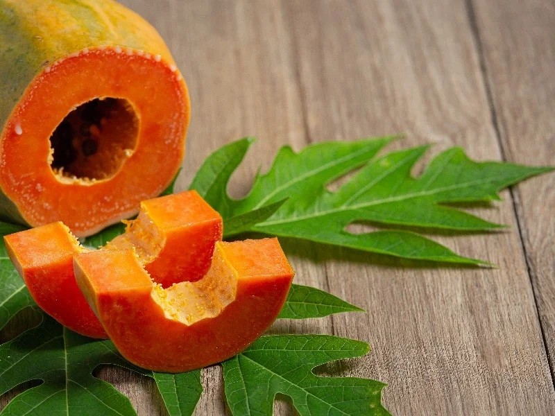Manfaat daun pepaya untuk kesehatan dan peningkatan imunitas tubuh