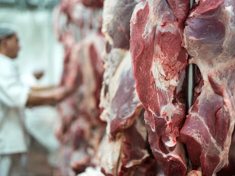 cara menyimpan daging kurban agar tetap segar dan aman dikonsumsi
