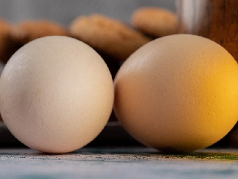 Telur Omega-3 vs Telur Biasa, Mana yang Lebih Sehat untuk Tubuh?