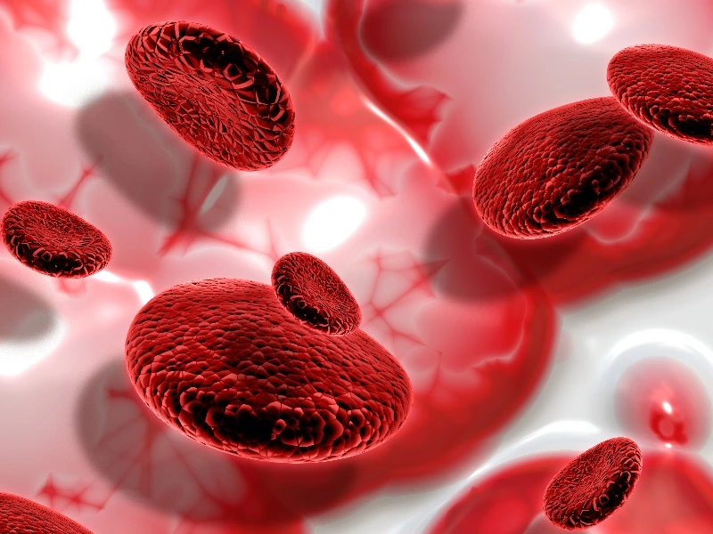 Kenali Risiko Talasemia. Penyakit yang Berasal dari Genetik